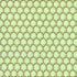 Holiday Flourish Peppermint Twist – Candy Canes Sage Metallic Fabric by Studio RK for Robert Kaufman, featuring candy cane motifs with metallic accents on sage green background.