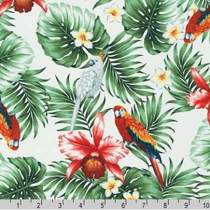 Island Paradise – Tropical Leaves and Birds on Ivory fabric by Sevenberry for Robert Kaufman – Cotton fabric with botanical leaves and colorful birds.