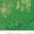 Moda - Grunge Metallic - Grunge Fern