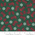 Home Sweet Holidays - Boots Mittens Snowflakes Green