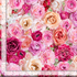 Bellerose - Large Packed Roses - Remnant
