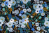 Wildwood – Garden Party Blue Fabric by Rifle Paper Co. for Cotton + Steel – botanical blue floral cotton print.