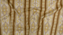 Impressions - Border Gold Yardage