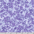 Flowerhouse - Georgina - Vines Lavender Yardage