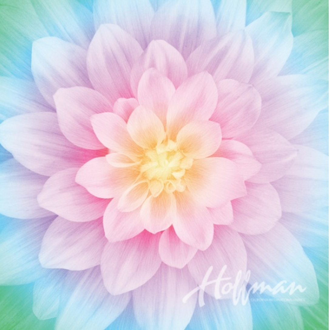 Dream Big - Flower Opal Panel