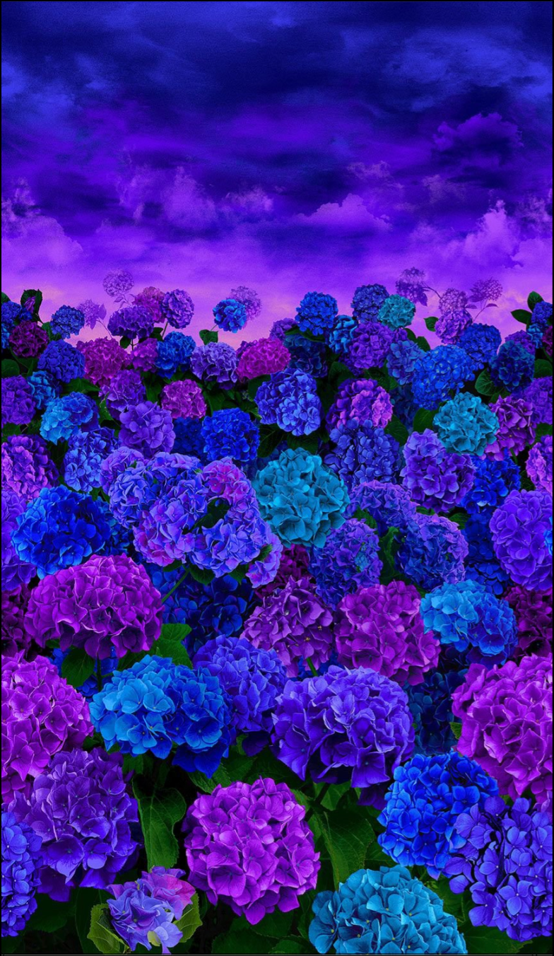 Midnight Bloom - Hydrangea At Dusk Panel