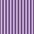 Witchy Woods - Terrifying Ticking Stripe on Spooky Purple Glow in the Dark Yardage