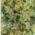 Green batik fabric with jungle leaves – Tonga Hayride by Timeless Treasures
