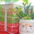 Buon Natale Fat Quarter Bundle with 35 holiday-themed cotton prints by Moda Fabrics – SKU 35400AB