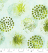 Blossom Batiks – Horizon – Medallion Wetlands Fabric by Flaurie & Finch – Green hand-dyed batik cotton with intricate medallion designs.