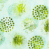Blossom Batiks – Horizon – Medallion Wetlands Fabric by Flaurie & Finch – Green hand-dyed batik cotton with intricate medallion designs.