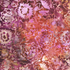 Malam Batiks VII Mums Burnt Orange Batik Fabric JB301-BU1B featuring intricate mum floral motifs in warm burnt orange hues.