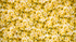 Citrus Garden - Lilies Gold fabric by RJR Fabrics (RJ1403-GO1) featuring golden yellow lily floral print on 100% cotton.