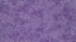 Bursts Lavender Batik Fabric by Jinny Beyer – hand-dyed batik quilting cotton in lavender from Malam Batiks VIII for RJR Fabrics.