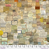 Curator Multi fabric by Tim Holtz - vintage scientific collage motifs on multi-color cotton.