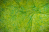 Mini Paisley Key Lime batik by Jinny Beyer - small paisley pattern on lime green cotton.