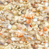 Water's Edge - Beachcomber Shells Yardage