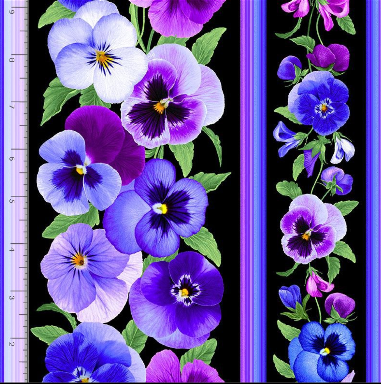 Digital cotton fabric Pansy Perfection - Pansy 11" Stripe by Chong-A Hwong for Timeless Treasures featuring purple, violet, and blue pansies with coordinating stripe borders on a black background.