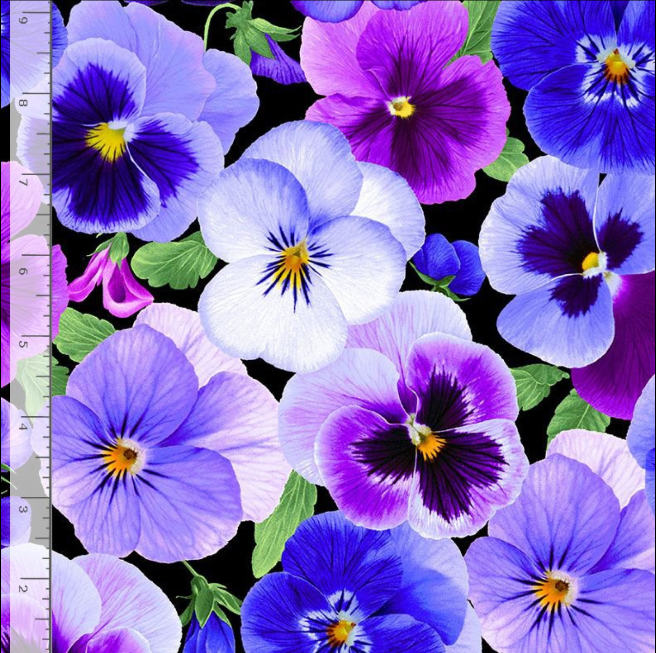 Pansy Perfection - Pansy Large Floral Fabric by Chong-A Hwong for Timeless Treasures featuring oversized purple and blue pansies on a black background.