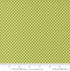 Raspberry Summer Gingham Lime Fabric by Sherri & Chelsi for Moda Fabrics – bright lime green and white gingham 100% cotton quilting fabric with soft weave texture.