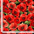 Large realistic red poppy flowers on a black cotton fabric background.