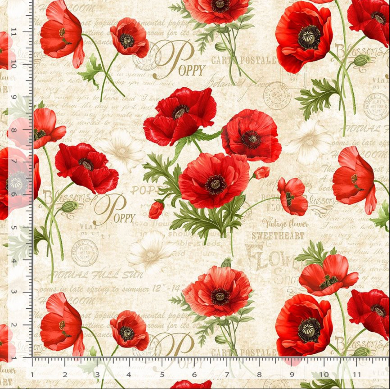 Red poppy flowers with green leaves over a cream background with vintage script and botanical text.