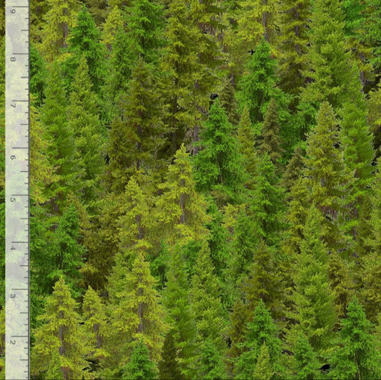 Evergreen forest fabric with layered pine trees in green tones