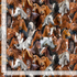 Realistic packed horse portrait cotton fabric by Timeless Treasures featuring brown white and black horses