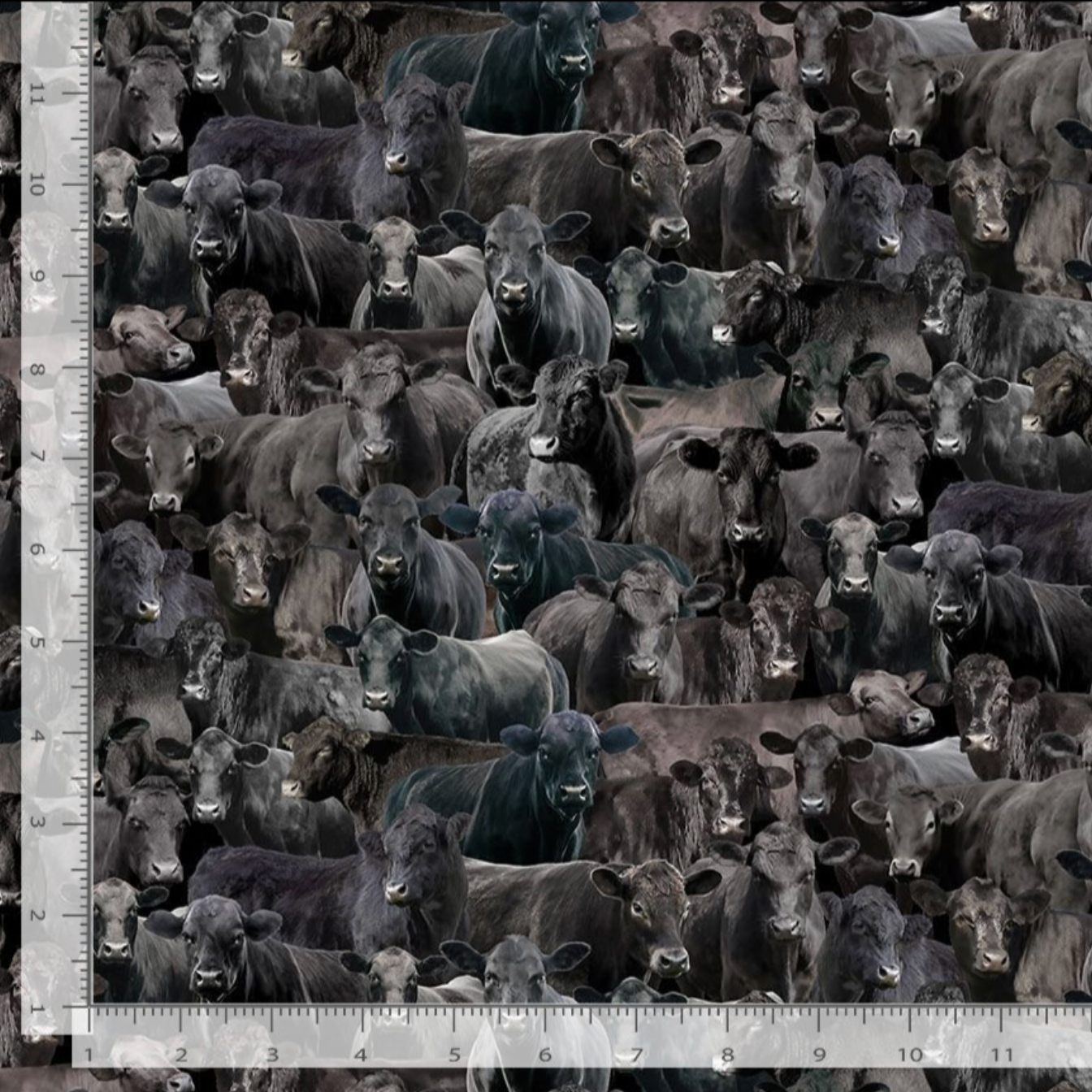 Realistic packed black cattle and cow cotton fabric by Timeless Treasures
