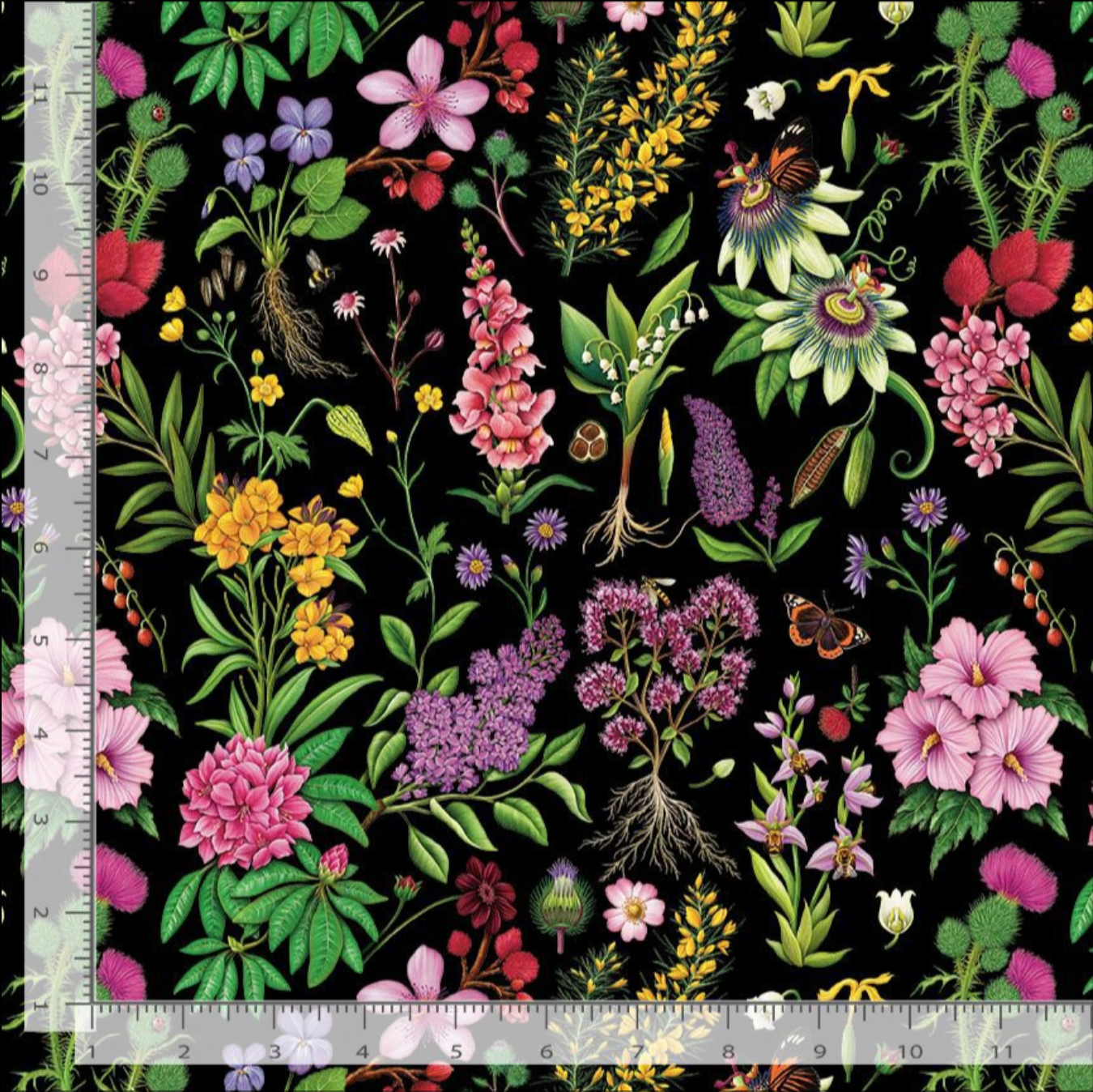 Detailed botanical flowers, foliage, and butterflies arranged on a black background in a vintage garden illustration style