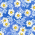 White daisy flowers with yellow centers scattered across a blue background floral cotton fabric, Daisy Dance Blue Sky by RJR Fabrics.