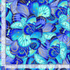 Blue, aqua, and lavender butterfly wings with metallic gold accents layered across a vibrant cotton background by Timeless Treasures.