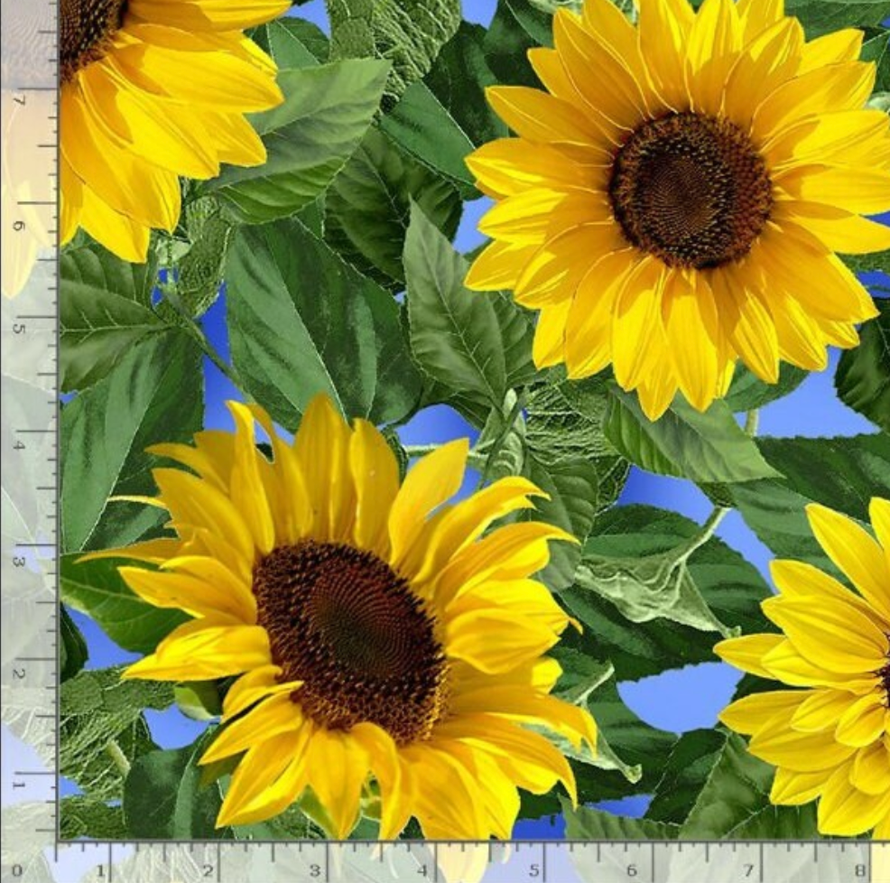 Large yellow sunflower fabric with green leaves on a bright blue background by Timeless Treasures.