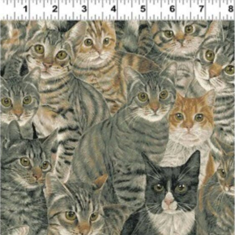 Realistic cat fabric featuring tabby, tuxedo, gray, and orange cats gathered together in a detailed portrait print by Clothworks.