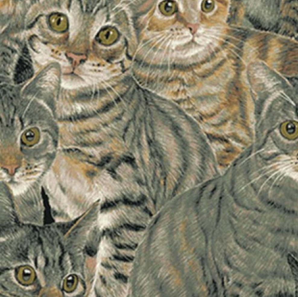 Realistic cat fabric featuring tabby, tuxedo, gray, and orange cats gathered together in a detailed portrait print by Clothworks.
