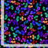 Tossed Bright Leaves fabric by Chong-A Hwang for Timeless Treasures featuring colorful purple, blue, teal, green, red, and gold leaves scattered across a dramatic black background.