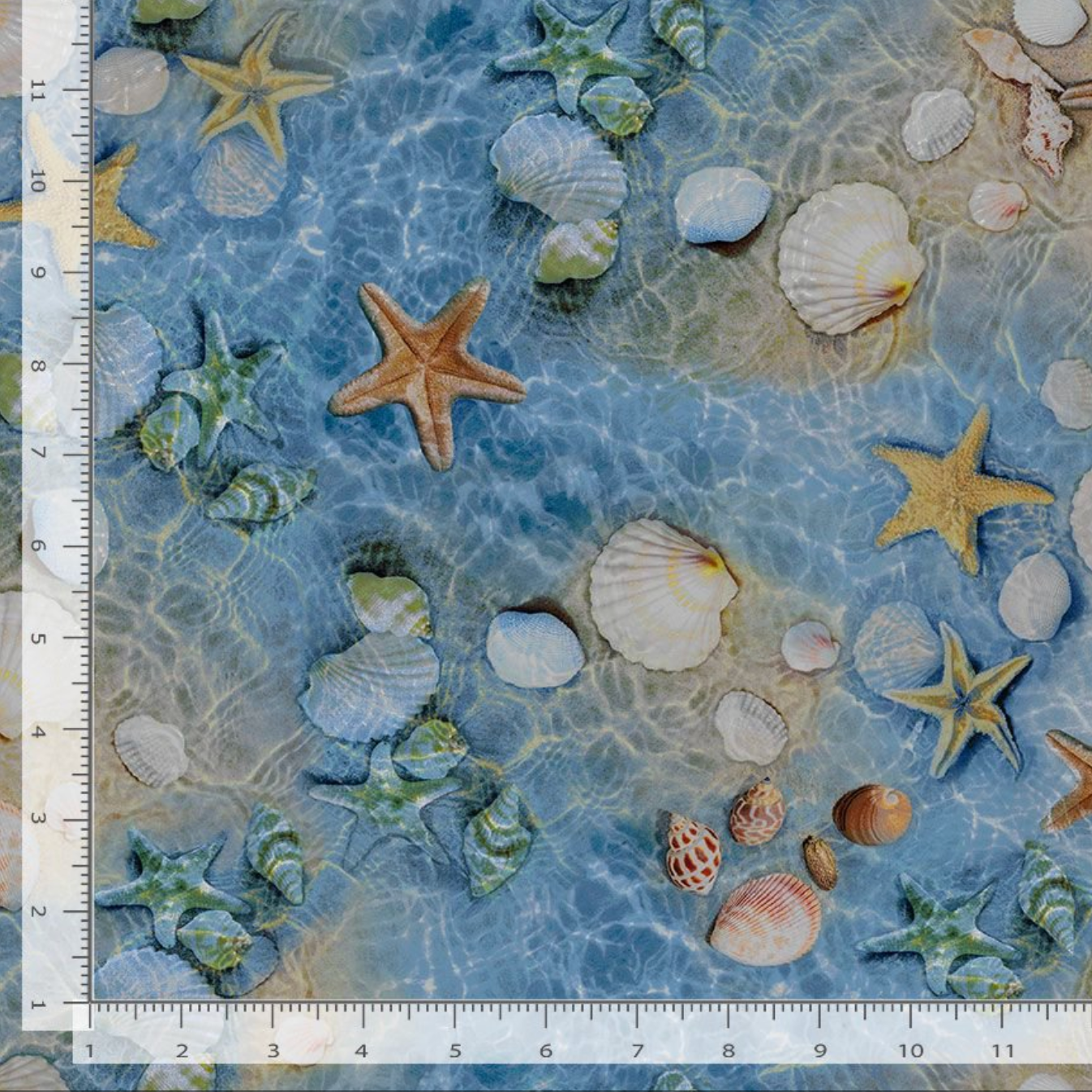 Water's Edge Shells and Starfish fabric by Chong-A Hwang for Timeless Treasures featuring realistic seashells, starfish, and shimmering blue ocean water in a digitally printed cotton fabric.