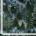 Misty Mountain Evergreen Forest fabric by Timeless Treasures featuring realistic pine trees surrounded by drifting mountain fog in rich woodland green and blue tones on premium digital print cotton fabric.