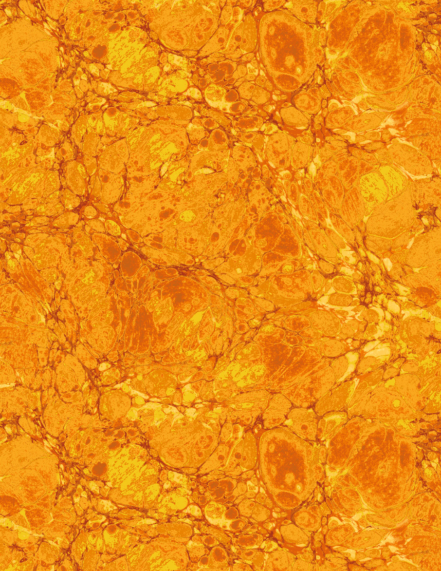 The Jinny Beyer Palette Granite Topaz cotton fabric by Jinny Beyer for RJR Fabrics featuring marbled golden stone textures in rich amber and topaz tones.