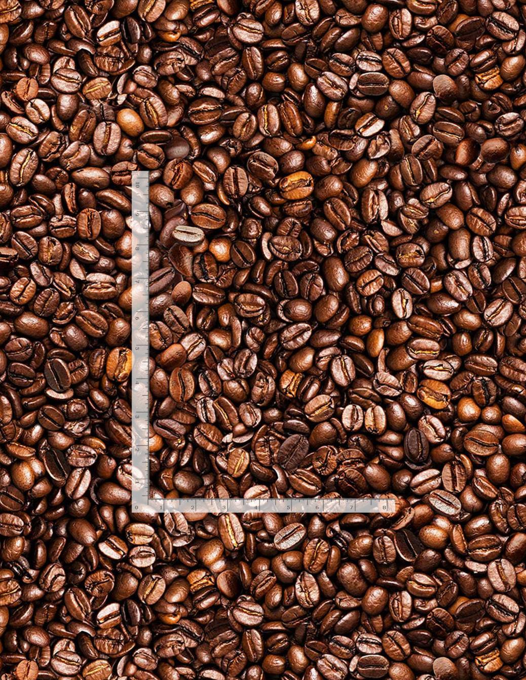 Timeless Treasures Coffee cotton fabric featuring a realistic digital print of roasted coffee beans covering the entire fabric.