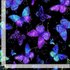 Evening Glow Flying Butterflies metallic cotton fabric by Chong-A Hwang featuring blue, purple, and teal butterflies with shimmering gold metallic accents on a black background.