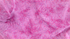 Bursts Rose Batik Fabric by Jinny Beyer – hand-dyed pink cotton batik with subtle bursts from Malam Batiks VIII by RJR Fabrics.