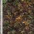Tonga Pine Cone Forest batik fabric featuring pine cones, leafy vines, and botanical motifs in forest green, olive, and brown