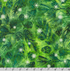 Artisan Batiks Evergreen Ice Sparkle Frosted Pinecones Pine batik fabric featuring green pinecones and evergreen branches with silver metallic accents on a rich pine green hand-dyed background.
