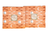 Camp Creek 10x10 Layer Cake by Ash Cascade for RJR Fabrics featuring 42 premium cotton precut squares with woodland, botanical, celestial, floral, and nature-inspired prints in earthy sage, olive, charcoal, peach, mustard, taupe, and blue tones.