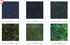 Best of Malam Batiks Rain Forest Jelly Roll by Jinny Beyer for RJR Fabrics featuring premium 2.5-inch batik fabric strips in coordinated rainforest-inspired shades of green, teal, blue, and earthy tones for quilting and sewing.
