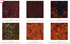 Best of Malam Batiks Sunrise Jelly Roll by Jinny Beyer for RJR Fabrics featuring premium 2.5-inch batik fabric strips in coordinated shades of orange, yellow, cream, green, and soft pastel batiks for quilting and sewing.