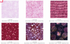 Blossom Batiks Horizon Patty Cake Layer Cake by Flaurie & Finch for RJR Fabrics featuring 42 coordinated 10-inch premium cotton batik squares in serene shades of blue, aqua, green, lavender, and pink for quilting and sewing projects.