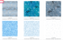 Enchanted Lake Pixie Strips jelly roll by Flaurie and Finch for RJR Fabrics featuring aqua, blue, pink, gray, black and metallic cotton prints.