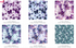 Ink Rose Fat Quarter Bundle by RJR Studio featuring 14 coordinating premium quilting cotton fabrics with watercolor roses, daisies, floral prints, and coordinating stripes in purple, blue, teal, and coral tones.